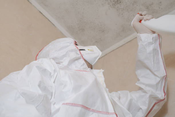 Best Office Mold Removal Services  in Gibbsboro, NJ